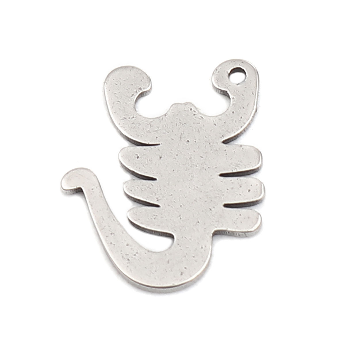 Immagine di 304 Stainless Steel Charms