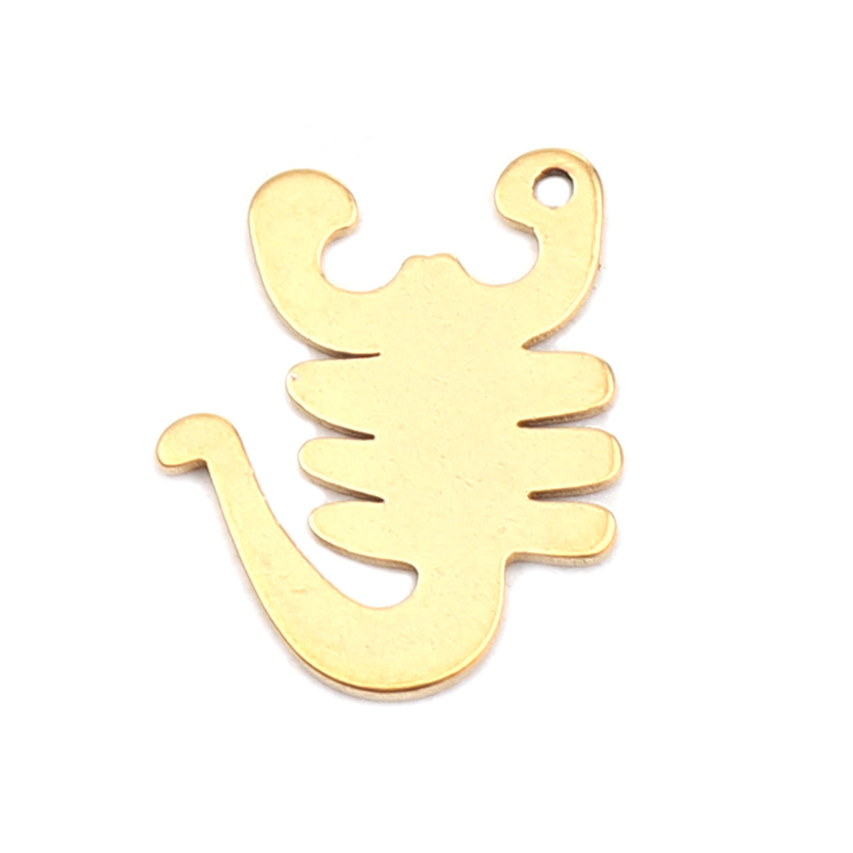 Immagine di 304 Stainless Steel Charms