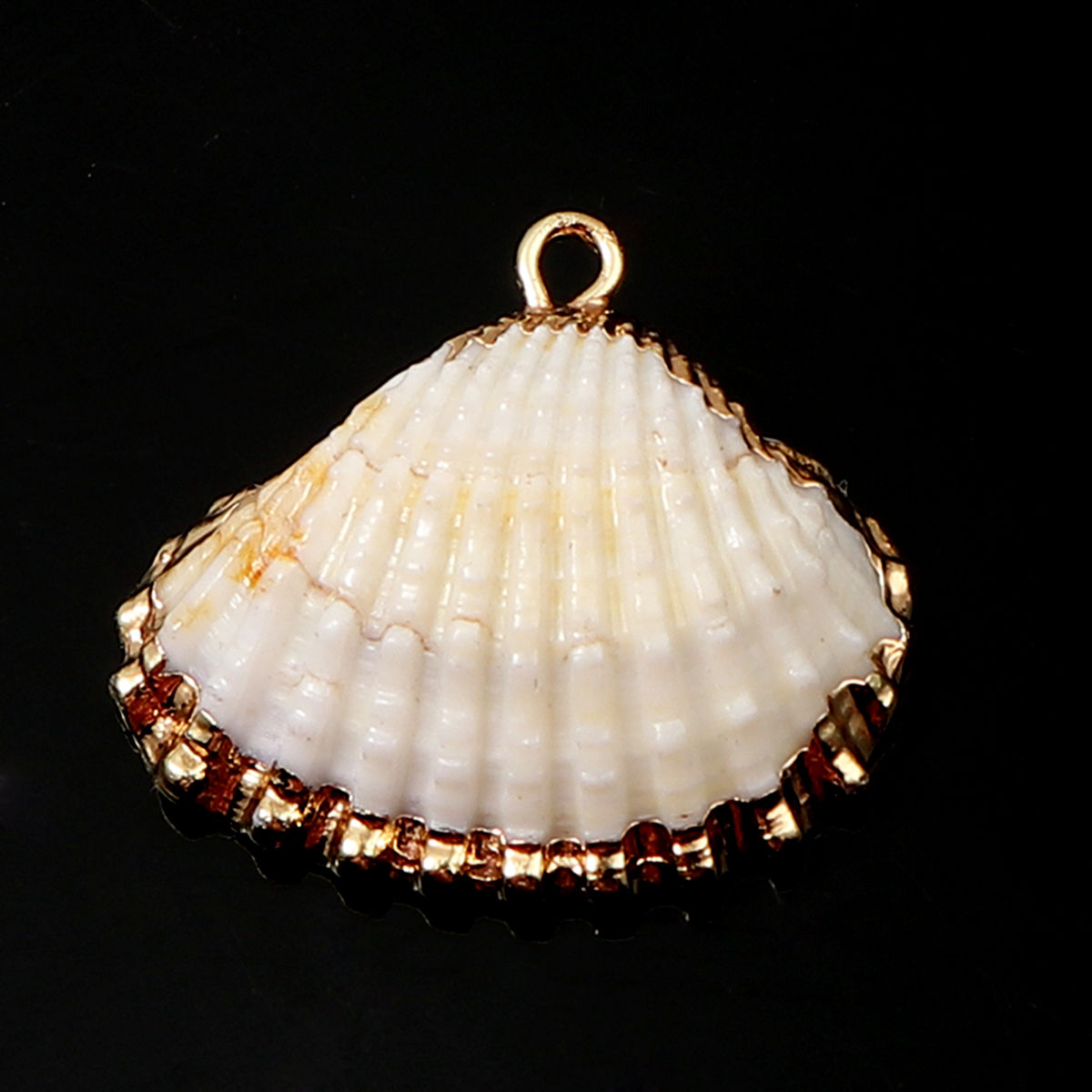 Immagine di Naturale Conchiglia Charms A Random Oro Placcato 26mm x 23mm - 23mm x 20mm, 5 Pz