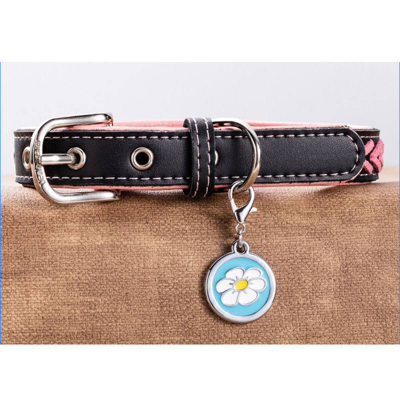 Immagine di Zinc Based Alloy Pet Memorial Silver Tone 2 PCs