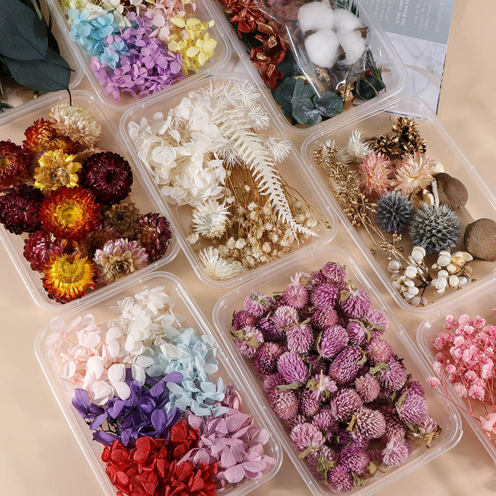 Picture of Dried Flower Decoration Multicolor 17cm x 12cm, 1 Packet