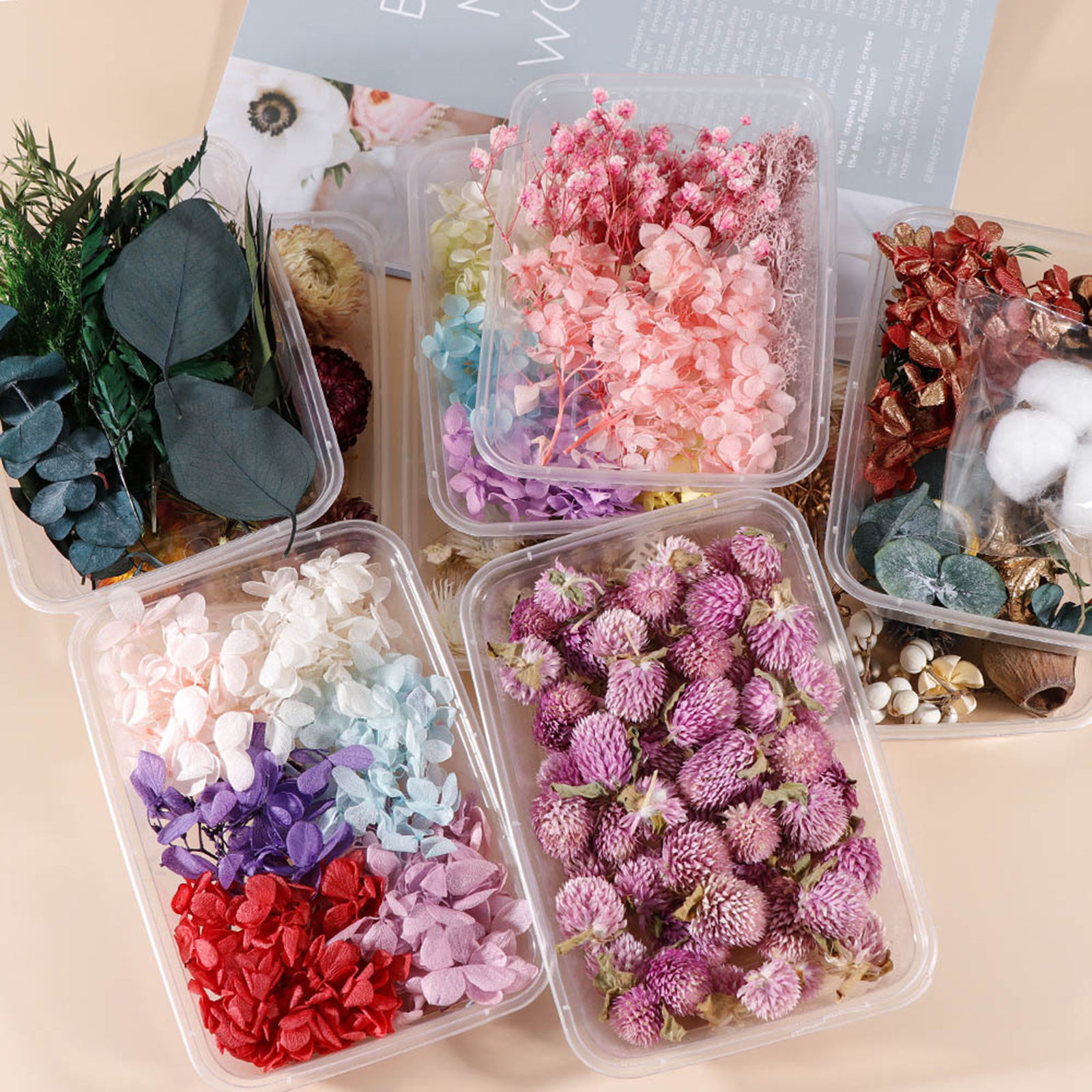 Picture of Dried Flower Decoration Multicolor 17cm x 12cm, 1 Packet
