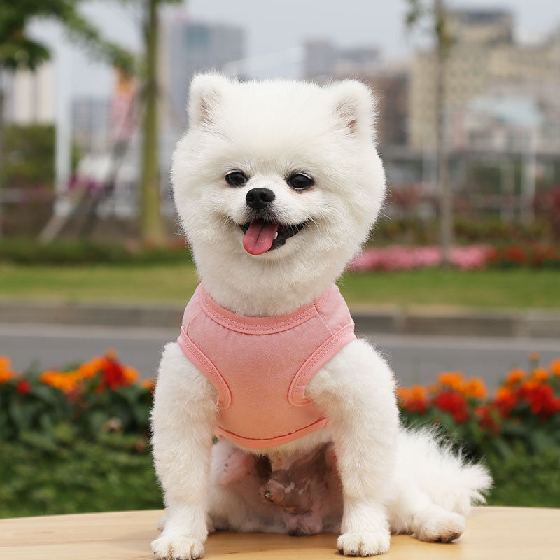 Imagen de Summer Cotton Vest Pet Clothes For Cat Dog Solid Color