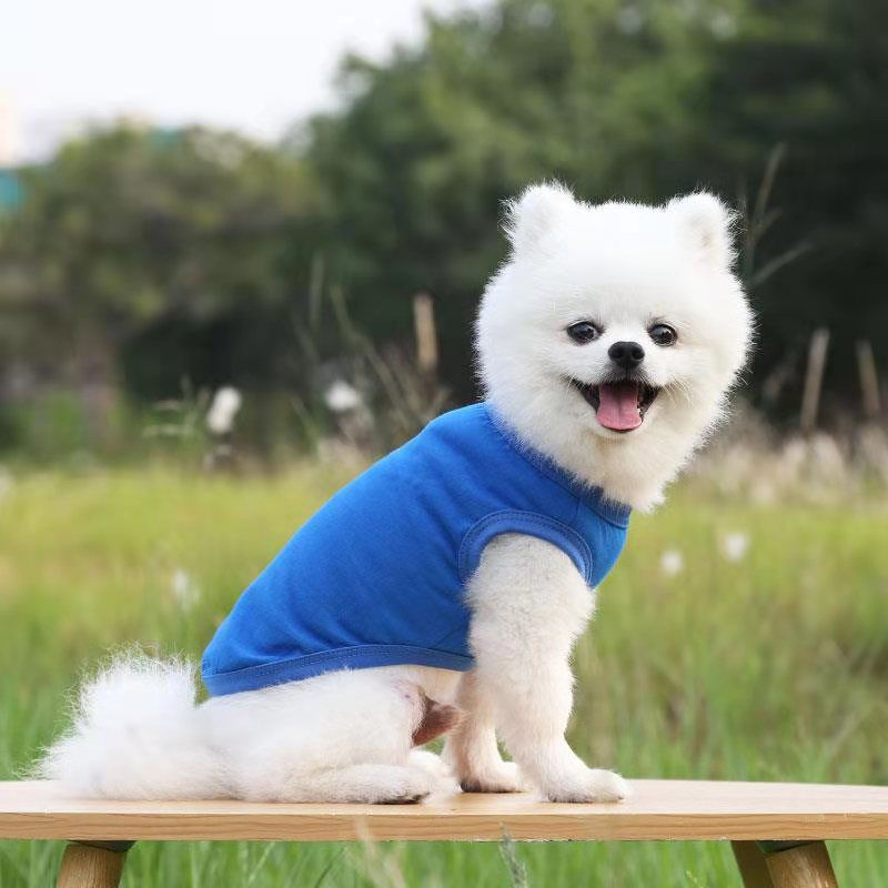 Imagen de Summer Cotton Vest Pet Clothes For Cat Dog Solid Color