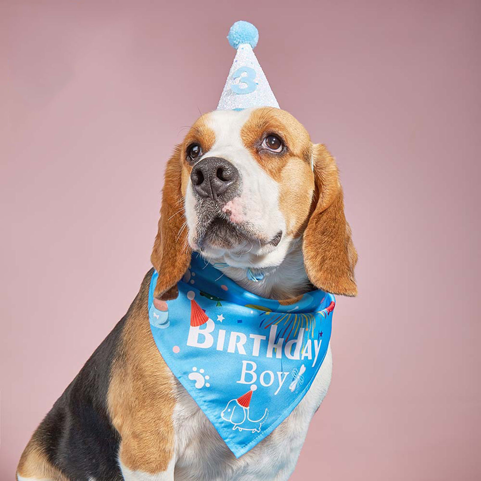 Imagen de Cute Pet Products Multicolor Scarf Hat