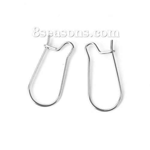 Picture of Stainless Steel Ear Wire Hooks Earring Findings Silver Tone 25mm(1") x 11mm( 3/8"), Post/ Wire Size: (21 gauge), 50 PCs