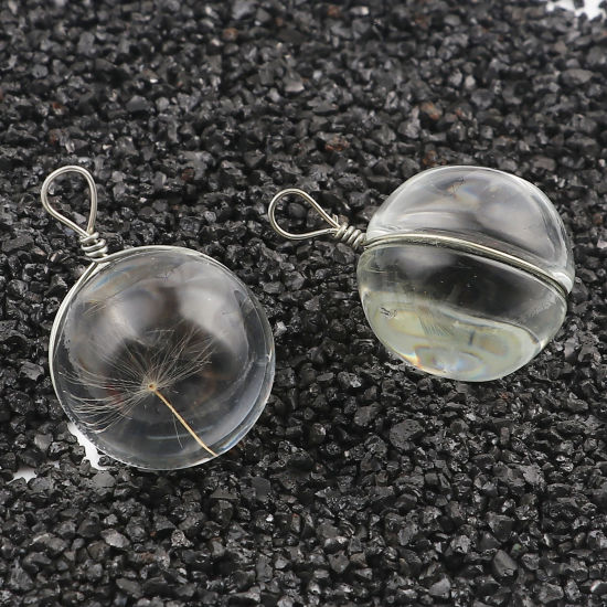 Image de Breloques Pissenlit Fleur Séchée 29mm x 19mm, 2 Pcs