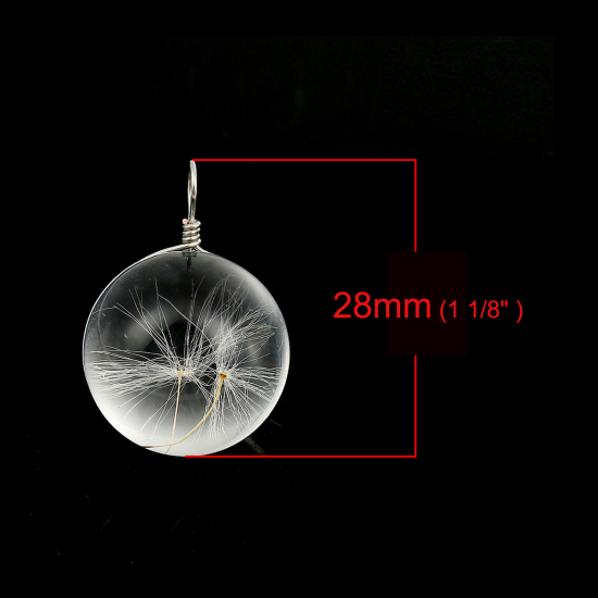 Image de Breloques en Fleurs Séchées Pissenlit Blanc 28mm x 20mm, 2 Pcs