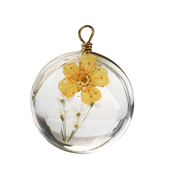 Image de Breloques en Laiton+Verre Rond Fleur Séchée Orange Transparent 23mm x 18mm, 2 Pcs