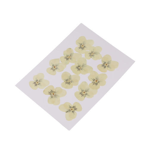 ドライフラワー 粘土・レジン 用具 黄色 パンジー 30mm x 26mm - 22mm x22mm、 1 パック ( 12 個/パック） の画像