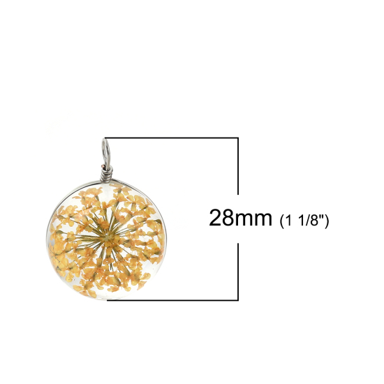 Image de Breloques en Verre & Fleurs Séchées Balle Orange Transparent 28mm x 20mm, 2 Pcs