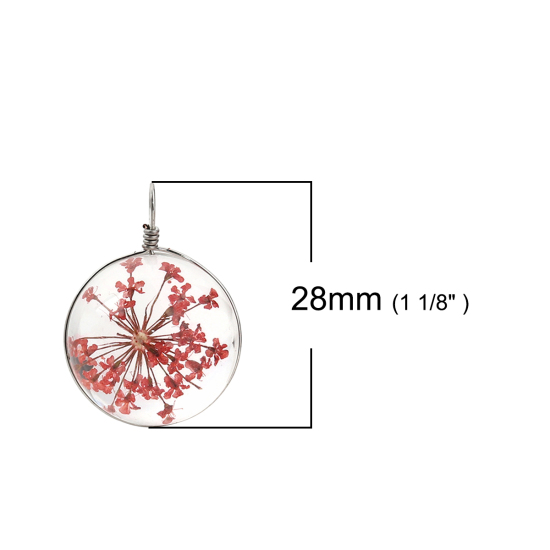 Image de Breloques en Verre & Fleurs Séchées Balle Rouge Transparent 28mm x 20mm, 2 Pcs