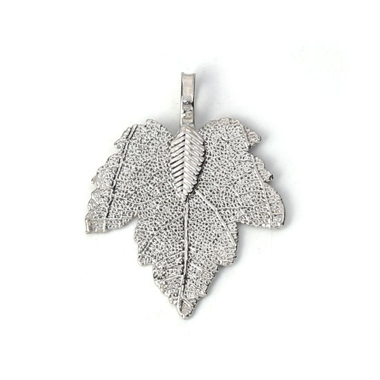 Picture of Brass Pendants Maple Leaf Silver Tone 36mm x28mm(1 3/8" x1 1/8") - 34mm x27mm(1 3/8" x1 1/8"), 2 PCs