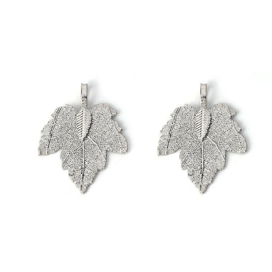 Picture of Brass Pendants Maple Leaf Silver Tone 36mm x28mm(1 3/8" x1 1/8") - 34mm x27mm(1 3/8" x1 1/8"), 2 PCs