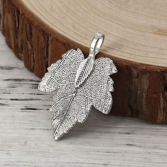 Picture of Brass Pendants Maple Leaf Silver Tone 36mm x28mm(1 3/8" x1 1/8") - 34mm x27mm(1 3/8" x1 1/8"), 2 PCs