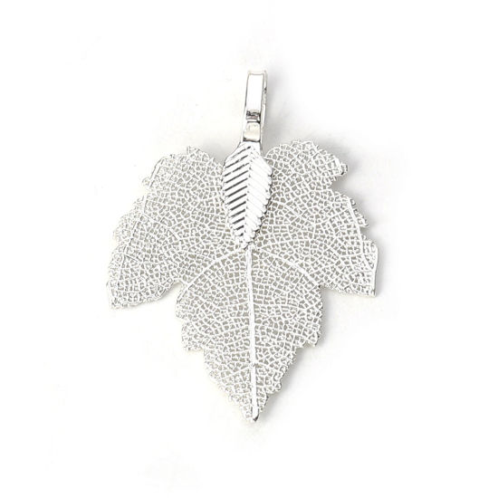 Picture of Brass Pendants Maple Leaf Silver Plated 36mm x28mm(1 3/8" x1 1/8") - 34mm x27mm(1 3/8" x1 1/8"), 2 PCs