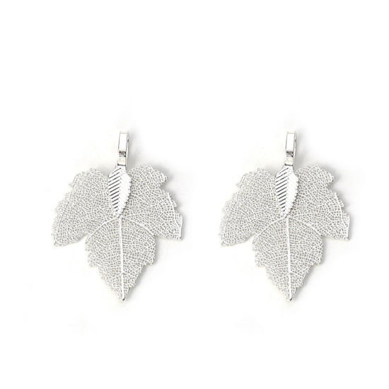 Picture of Brass Pendants Maple Leaf Silver Plated 36mm x28mm(1 3/8" x1 1/8") - 34mm x27mm(1 3/8" x1 1/8"), 2 PCs