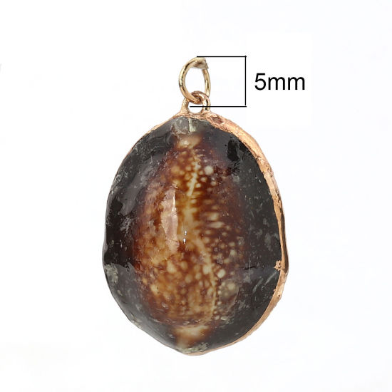 天然 シェル チャーム ペンダント 金メッキ ハナマルユキ コーヒー色 金メッキ 35mmx 23mm- 3.2cm x2cm、 5 個 の画像