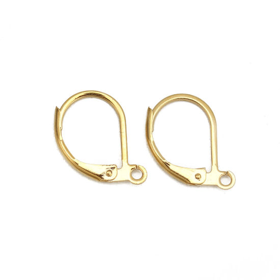Picture of 10 PCs 304 Stainless Steel Lever Back Clips Earrings Drop Gold Plated With Loop 16mm x 10mm, Post/ Wire Size: 1mm(18 gauge)