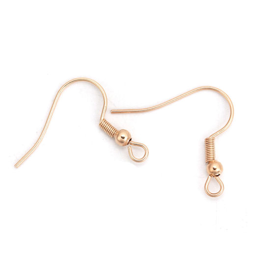 Picture of 10 PCs 316 Stainless Steel Ear Wire Hooks Earrings For DIY Jewelry Making Accessories Rose Gold With Loop 20mm x 20mm, Post/ Wire Size: 0.7mm(21 gauge)