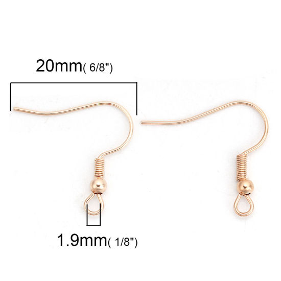 Picture of 10 PCs 316 Stainless Steel Ear Wire Hooks Earrings For DIY Jewelry Making Accessories Rose Gold With Loop 20mm x 20mm, Post/ Wire Size: 0.7mm(21 gauge)