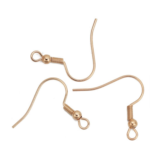 Picture of 10 PCs 316 Stainless Steel Ear Wire Hooks Earrings For DIY Jewelry Making Accessories Rose Gold With Loop 20mm x 20mm, Post/ Wire Size: 0.7mm(21 gauge)
