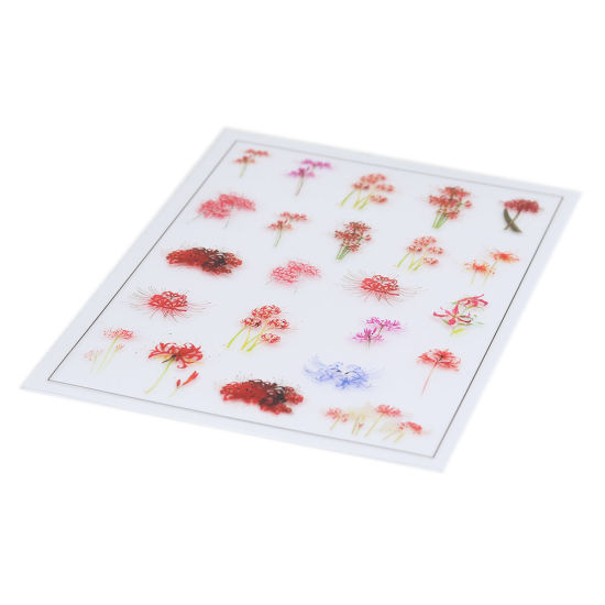 Image de Matériaux de Remplissage de Bijoux de Résine en Papier Rouge Lycoris Rouge / Lis de l'Araignée Rouge 15cm x 10.5cm, 2 Pcs