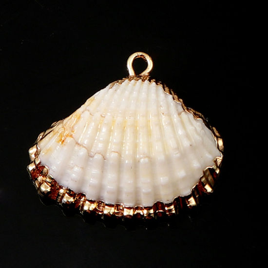 天然 シェル チャーム ランダムな色 金メッキ 26mm x 23mm - 23mm x 20mm、 5 個 の画像