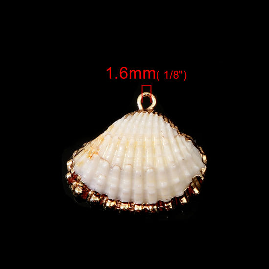 天然 シェル チャーム ランダムな色 金メッキ 26mm x 23mm - 23mm x 20mm、 5 個 の画像