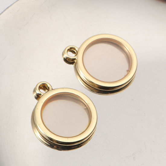 Image de Breloques en Alliage de Zinc+Résine Rond Transparent Doré Rose Clair 16mm x 17mm, 5 Pcs
