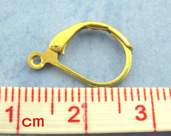Picture of 60 PCs Brass Lever Back Clips Earrings Gold Plated With Loop 16mm x 10mm