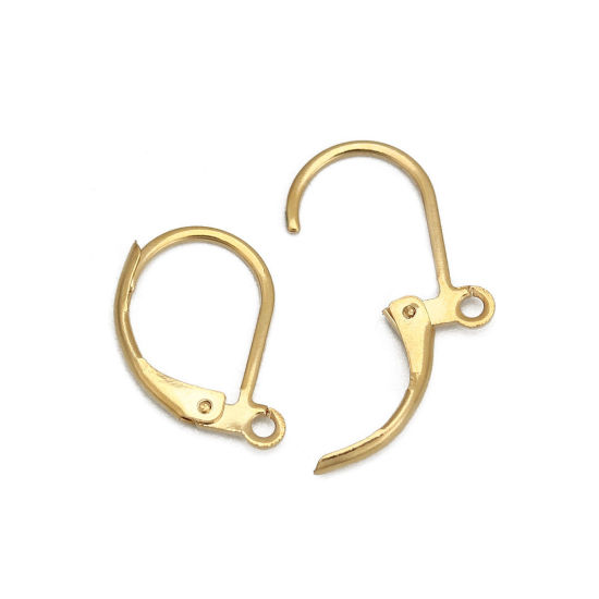Picture of 304 Stainless Steel Lever Back Clips Earrings Drop Gold Plated W/ Loop 16mm x 10mm, Post/ Wire Size: (18 gauge), 50 PCs
