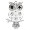 Picture of Zinc Metal Alloy Pendants Owl Animal Silver Tone White Enamel Clear & Black Rhinestone 5.1cm(2") x 3.2cm(1 2/8"), 3 PCs
