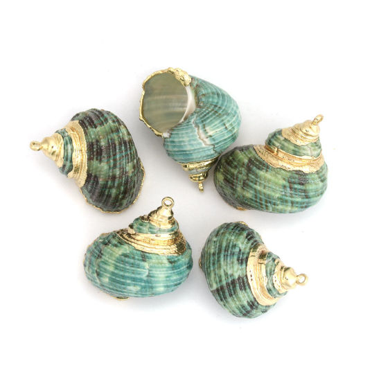 天然 シェル ペンダント 巻き貝 金メッキ 緑 3.1cm x 2.5cm - 2.5cm x 1.8cm、 5 個 の画像