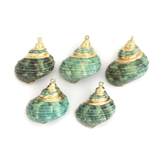 天然 シェル ペンダント 巻き貝 金メッキ 緑 3.1cm x 2.5cm - 2.5cm x 1.8cm、 5 個 の画像