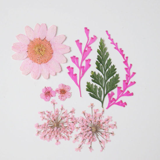 ドライフラワー レジンクラフト用素材 ピンク 3.8cm x 2.5cm - 0.7cm x 0.7cm、 1 パック ( 7 個/パック) の画像