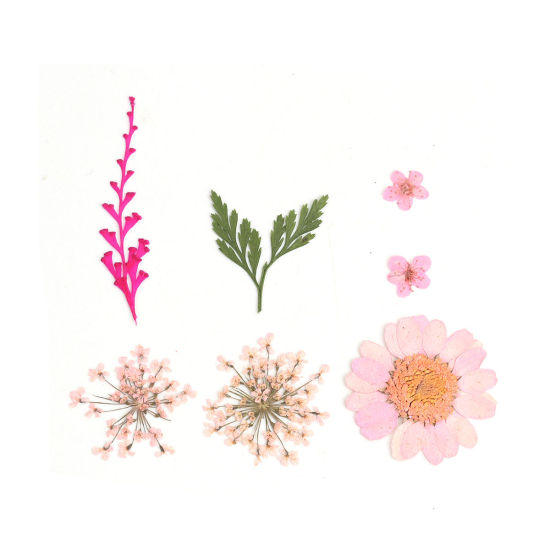 ドライフラワー レジンクラフト用素材 ピンク 3.8cm x 2.5cm - 0.7cm x 0.7cm、 1 パック ( 7 個/パック) の画像