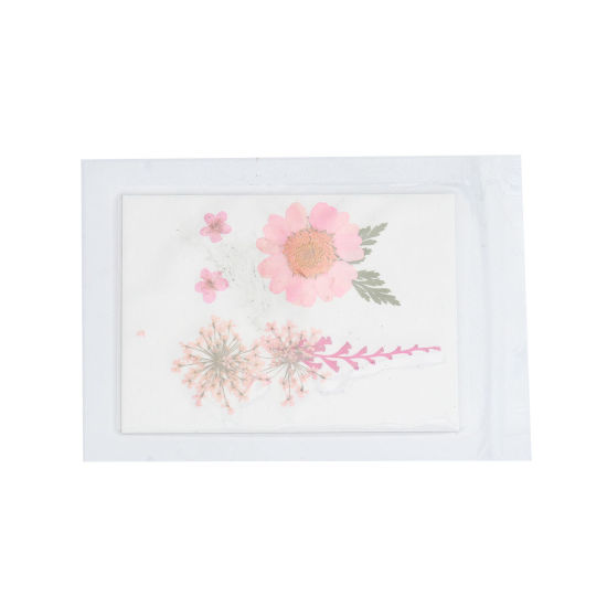 ドライフラワー レジンクラフト用素材 ピンク 3.8cm x 2.5cm - 0.7cm x 0.7cm、 1 パック ( 7 個/パック) の画像