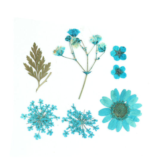 ドライフラワー レジンクラフト用素材 緑青 3.8cm x 2.5cm - 0.7cm x 0.7cm、 1 パック ( 7 個/パック) の画像