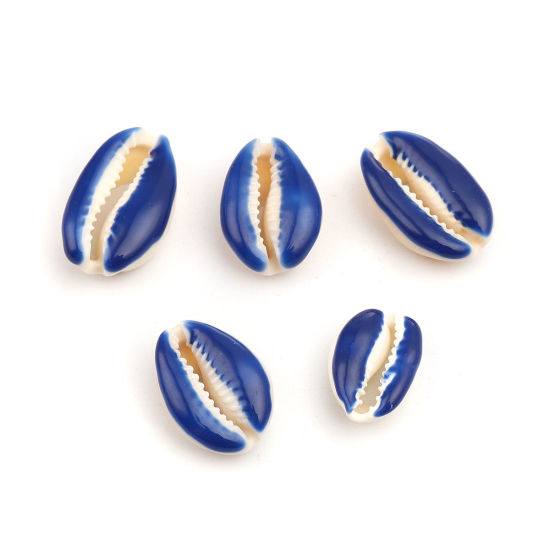Image de Perles en Coquille Escargot de Mer Saphir 25mm x 17mm-18mm x 14mm, 10 Pcs