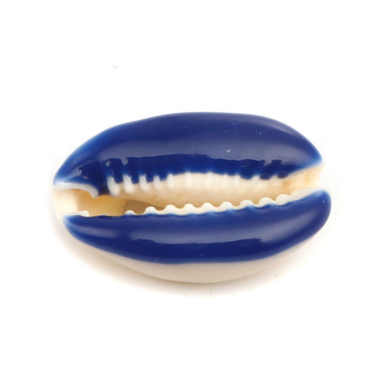 Image de Perles en Coquille Escargot de Mer Saphir 25mm x 17mm-18mm x 14mm, 10 Pcs
