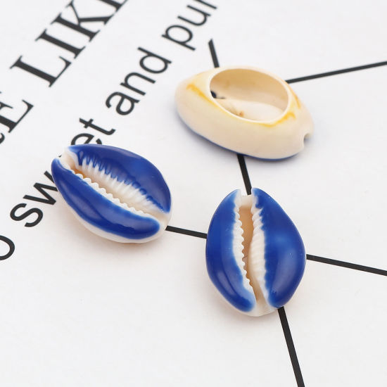 Image de Perles en Coquille Escargot de Mer Saphir 25mm x 17mm-18mm x 14mm, 10 Pcs