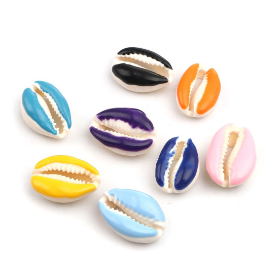 Image de Perles en Coquille Escargot de Mer Saphir 25mm x 17mm-18mm x 14mm, 10 Pcs