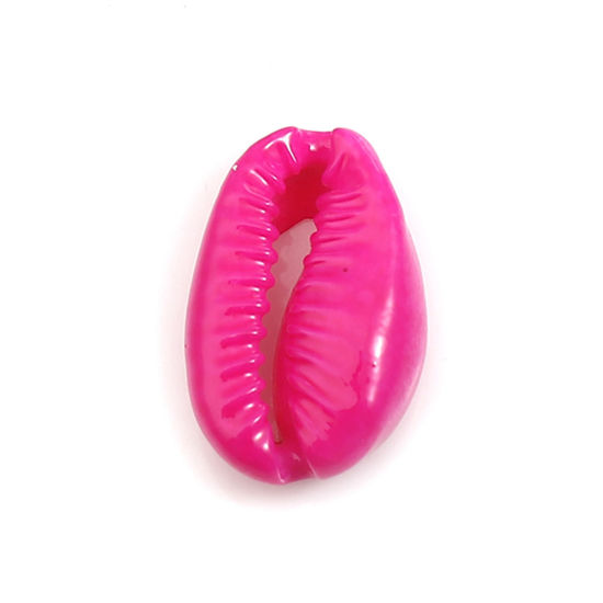 天然 チャーム シェル フクシア色 染め 17mm x 12mm - 12mm x 7mm、 10 個 の画像