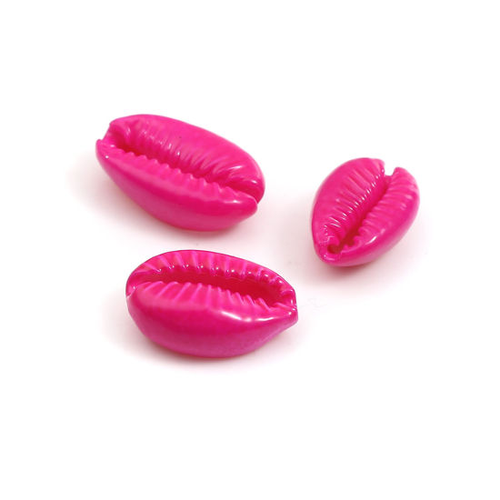 天然 チャーム シェル フクシア色 染め 17mm x 12mm - 12mm x 7mm、 10 個 の画像