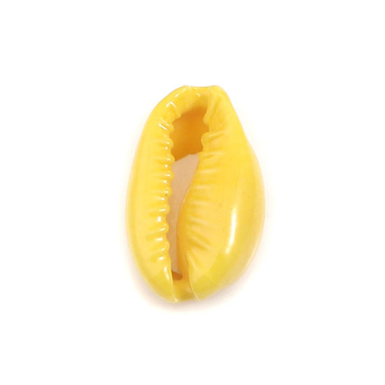 天然 チャーム シェル ランダムな色 染め 17mm x 12mm - 12mm x 7mm、 10 個 の画像
