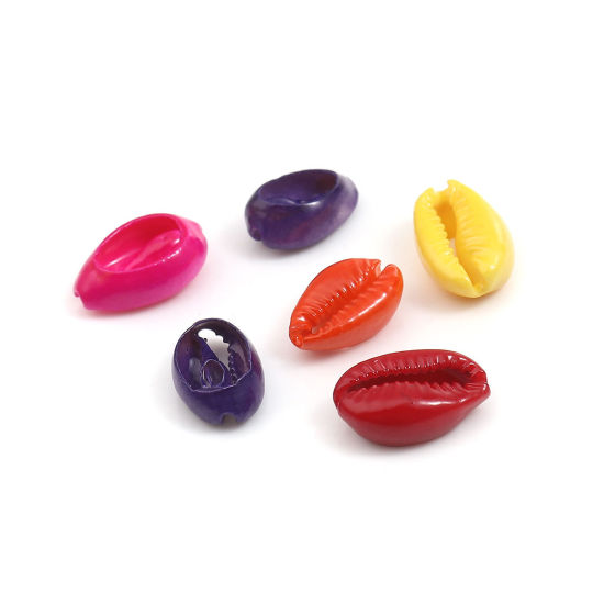 天然 チャーム シェル ランダムな色 染め 17mm x 12mm - 12mm x 7mm、 10 個 の画像