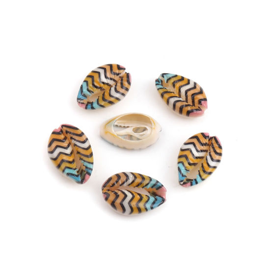 Image de Perles en Coquille Escargot de Mer Multicolore Rayées 25mm x 17mm - 18mm x 13mm, 10 Pcs