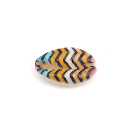 Image de Perles en Coquille Escargot de Mer Multicolore Rayées 25mm x 17mm - 18mm x 13mm, 10 Pcs