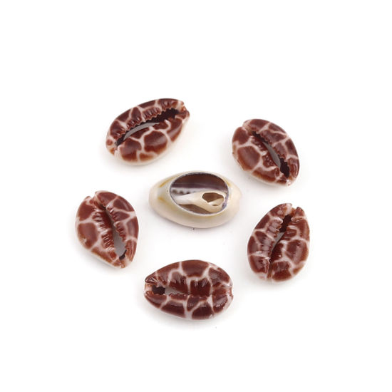Image de Perles en Coquille Escargot de Mer Café 25mm x 17mm - 18mm x 13mm, 10 Pcs